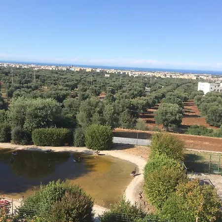 Giardinelli - Vale